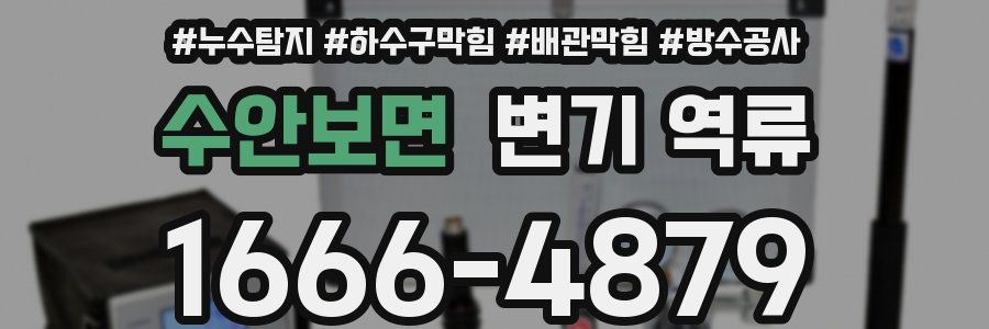 수안보면 변기 역류