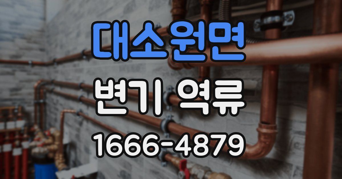 대소원면 변기 역류