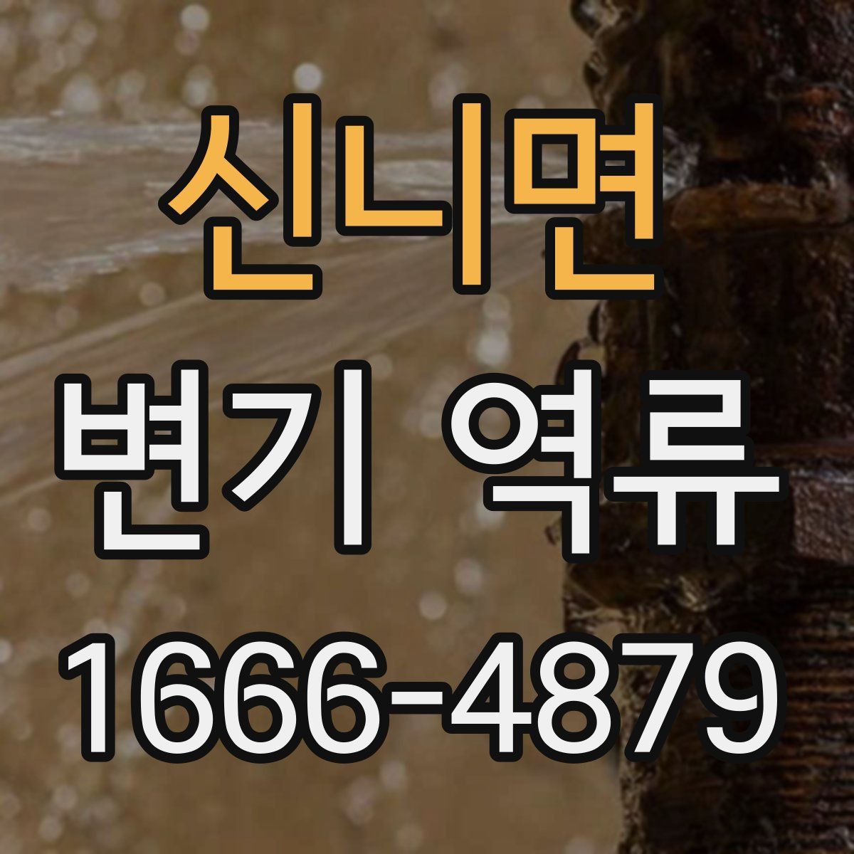 신니면 변기 역류