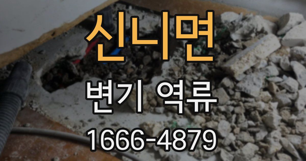 신니면 변기 역류