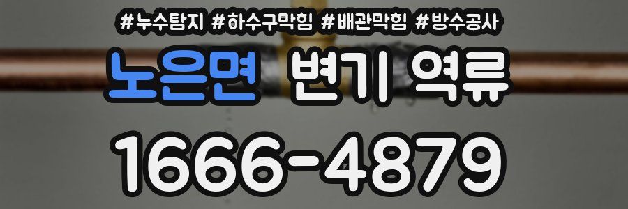 노은면 변기 역류