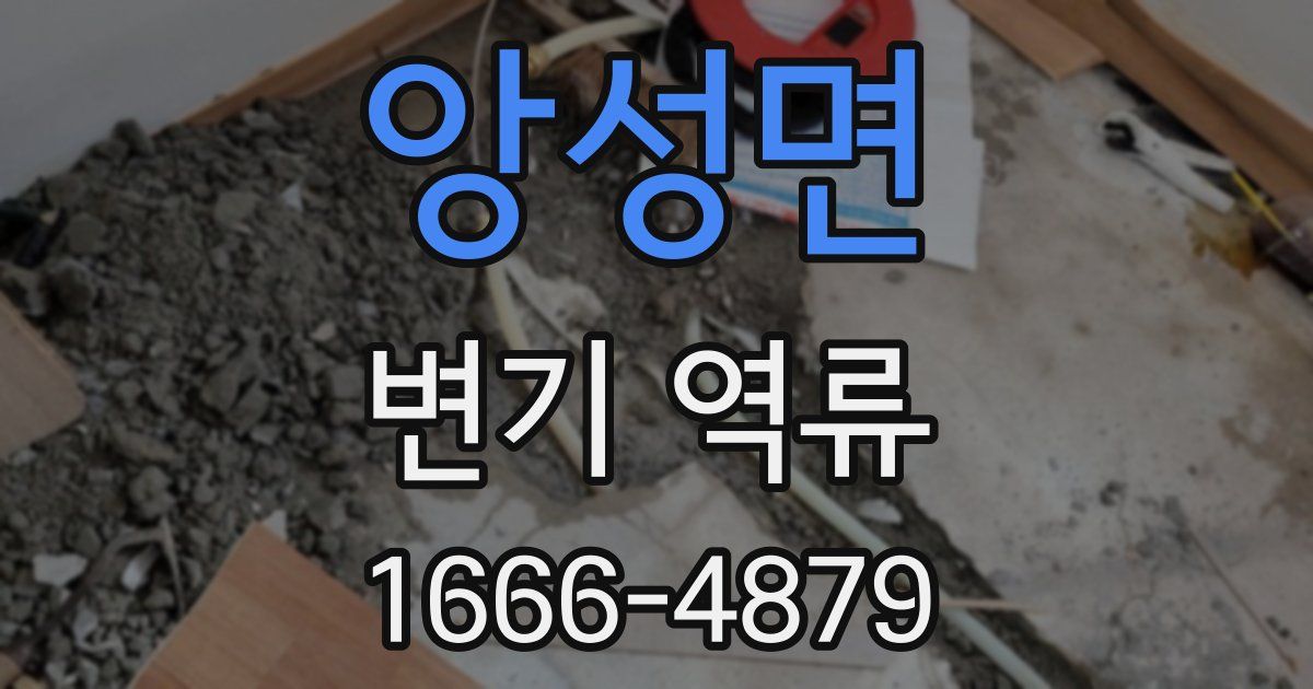 앙성면 변기 역류