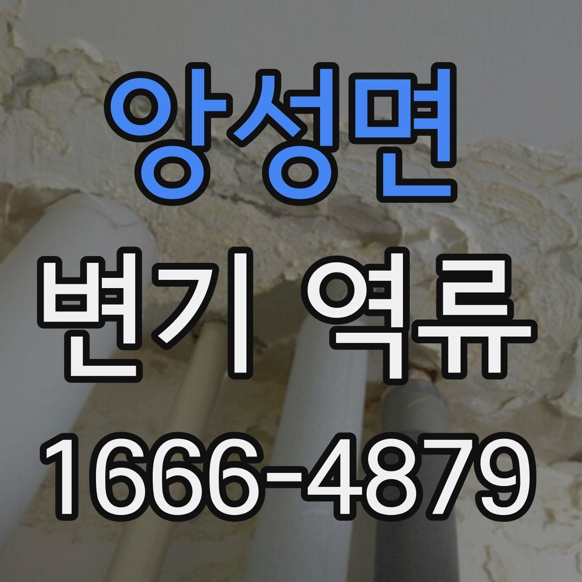 앙성면 변기 역류