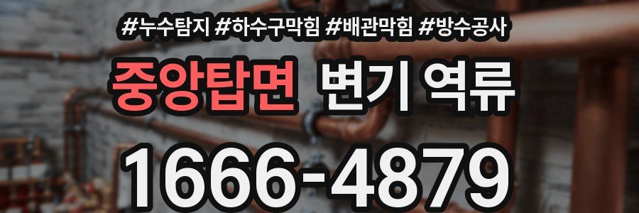 중앙탑면 변기 역류