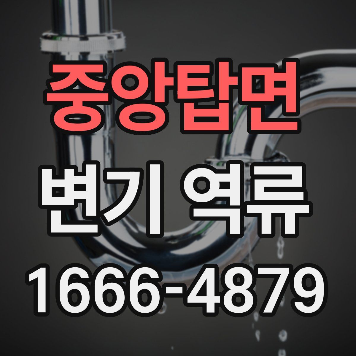 중앙탑면 변기 역류