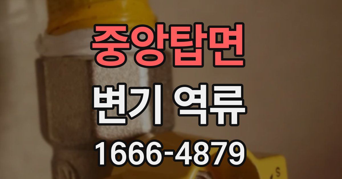 중앙탑면 변기 역류