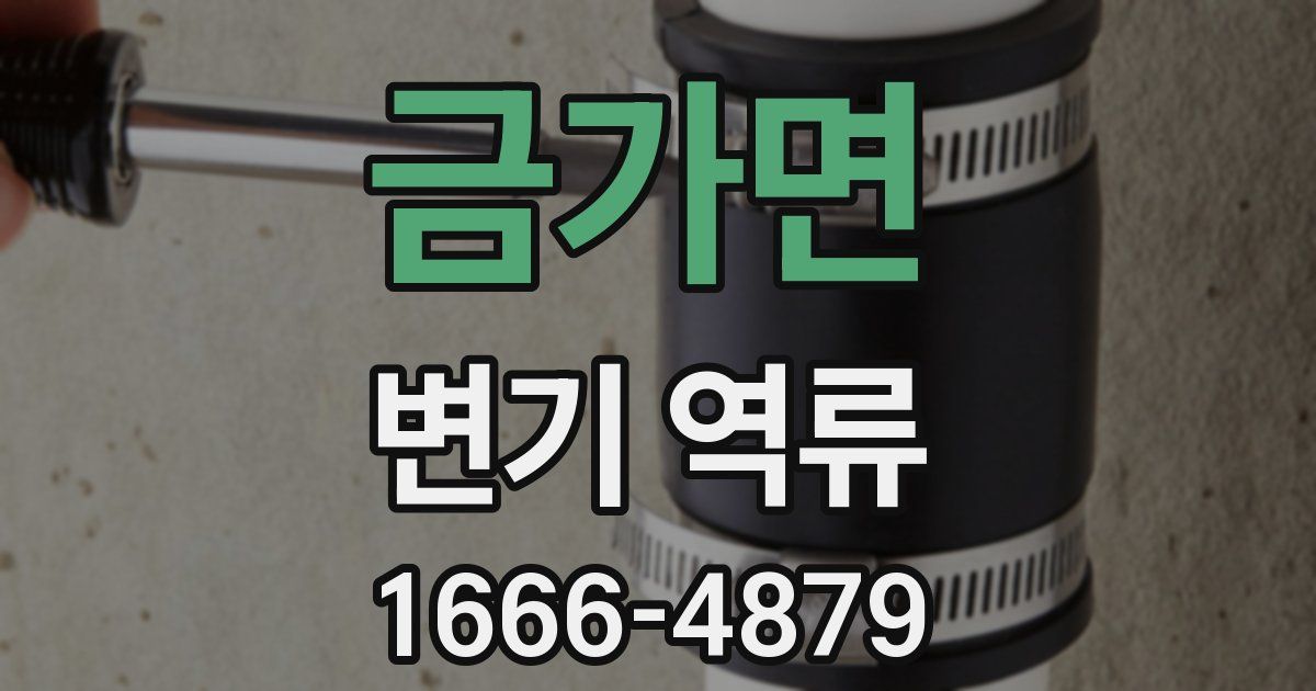 금가면 변기 역류