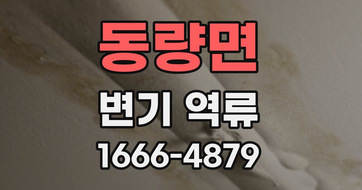 동량면 변기 역류