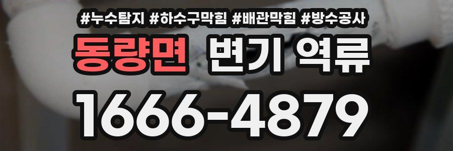 동량면 변기 역류