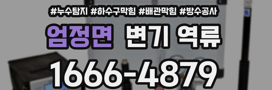 엄정면 변기 역류