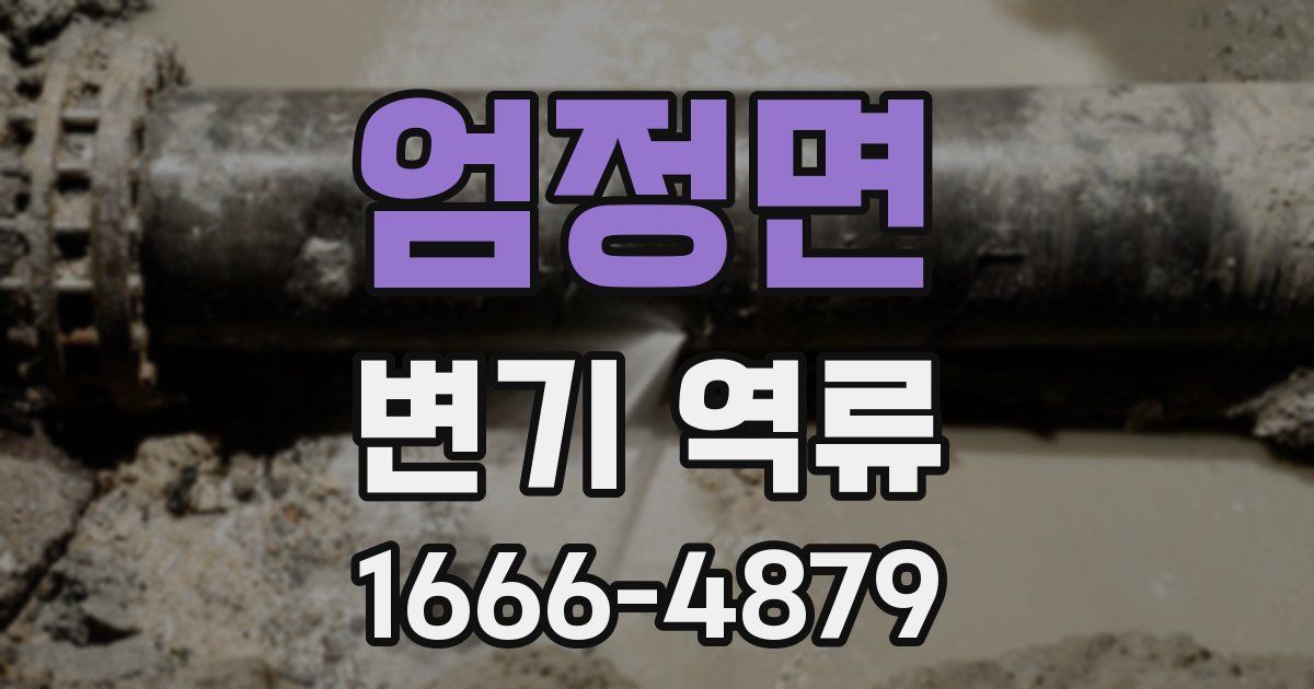 엄정면 변기 역류