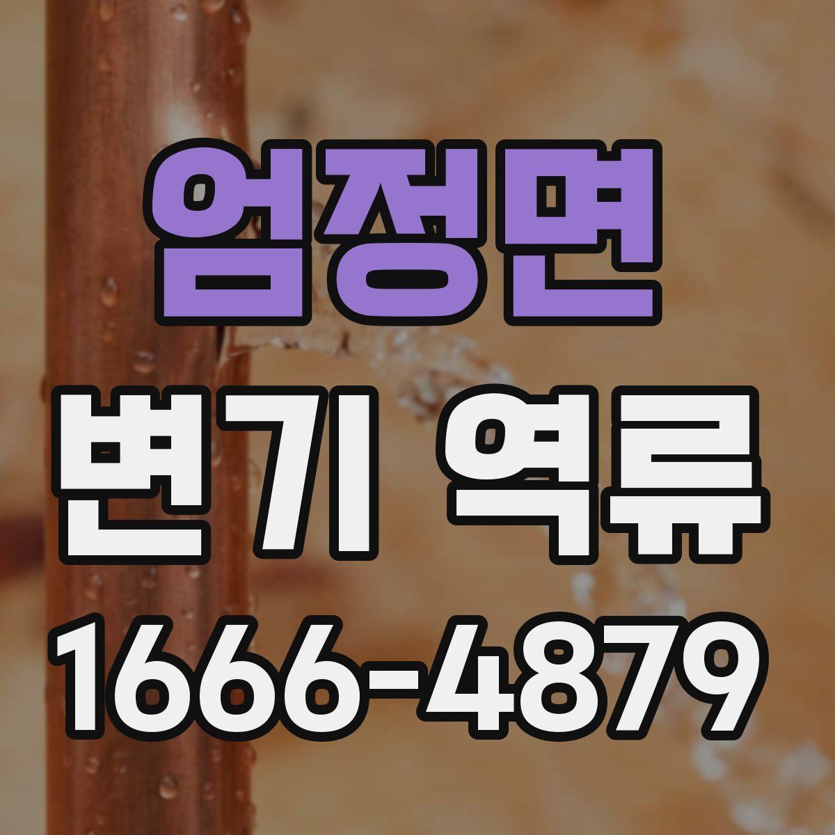 엄정면 변기 역류