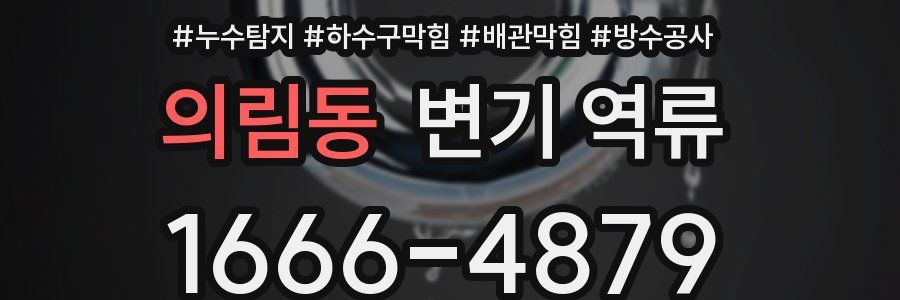 의림동 변기 역류