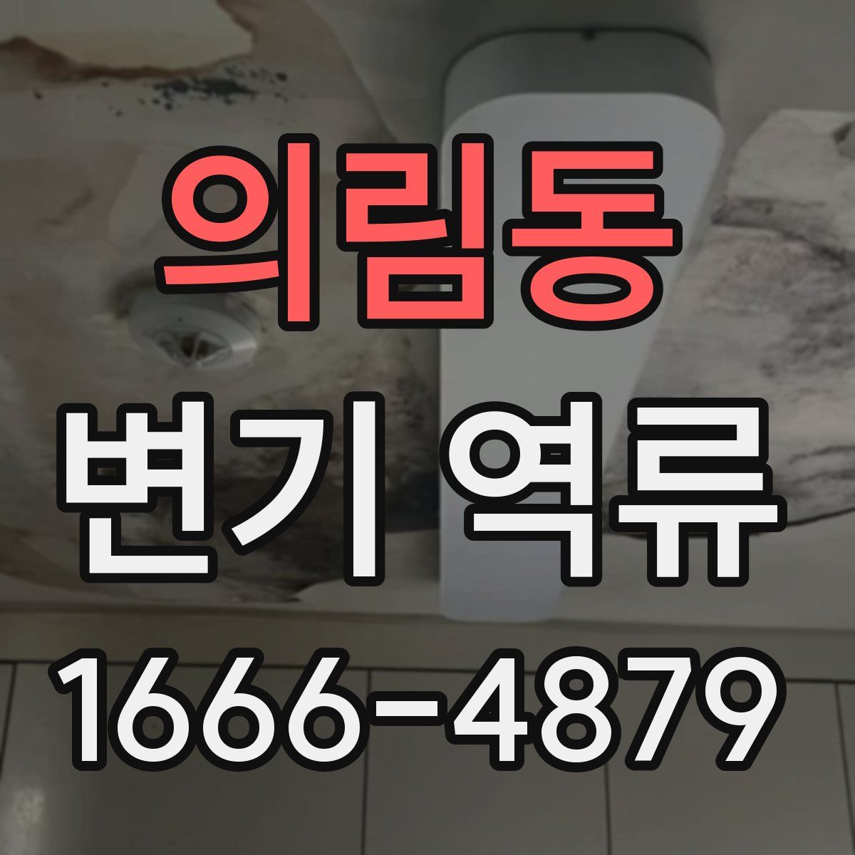 의림동 변기 역류