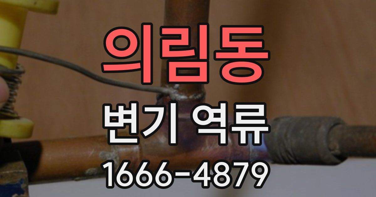 의림동 변기 역류
