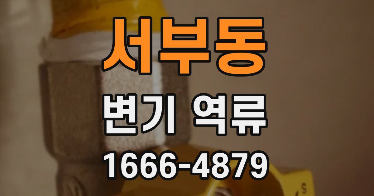 서부동 변기 역류