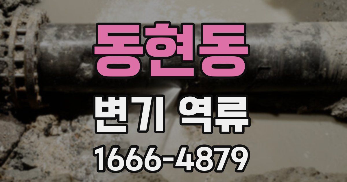 동현동 변기 역류