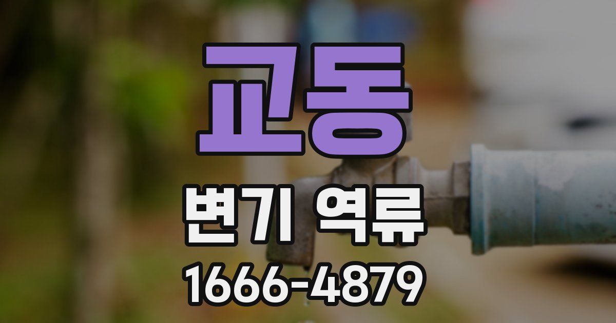 교동 변기 역류
