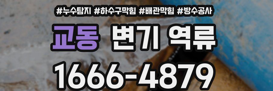 교동 변기 역류