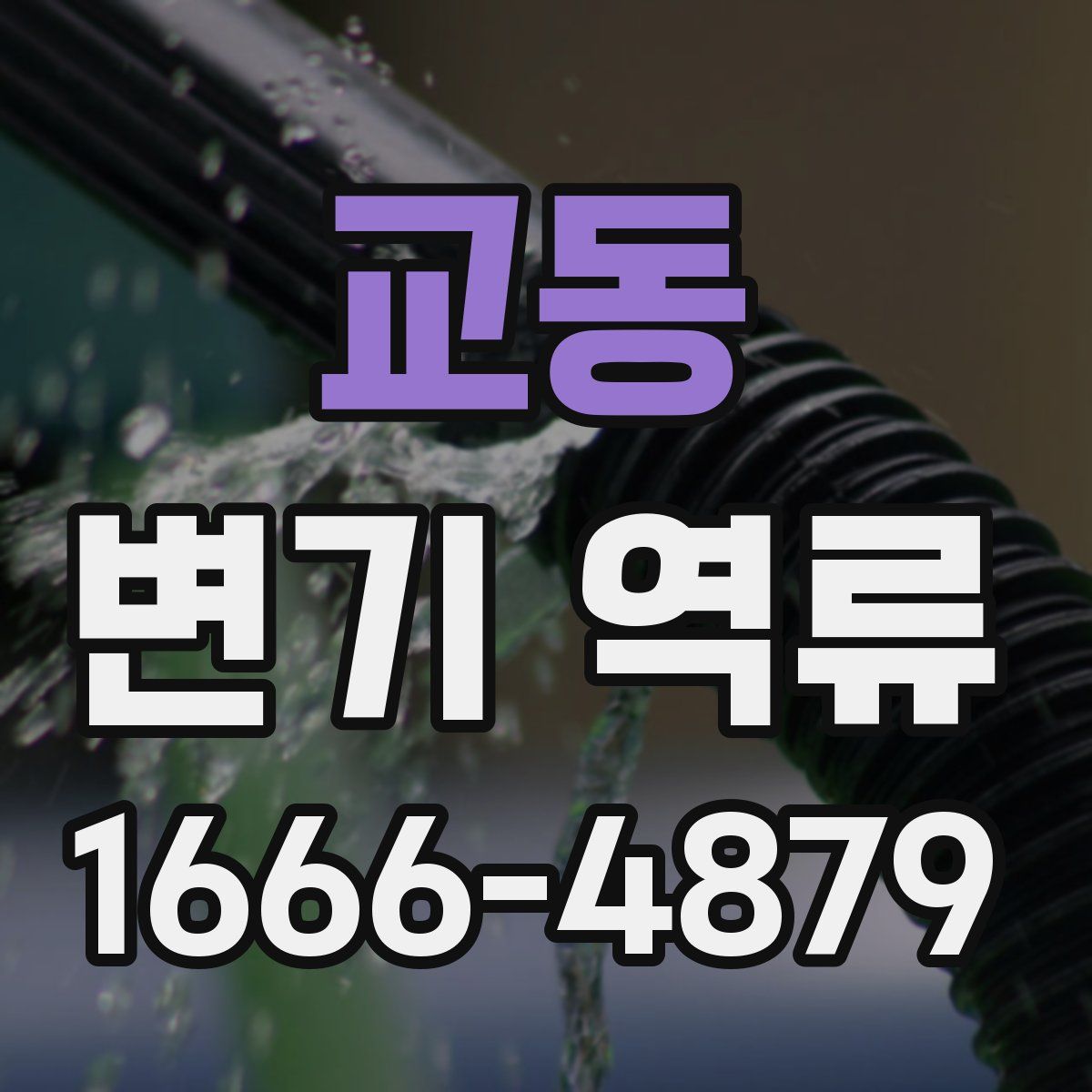 교동 변기 역류