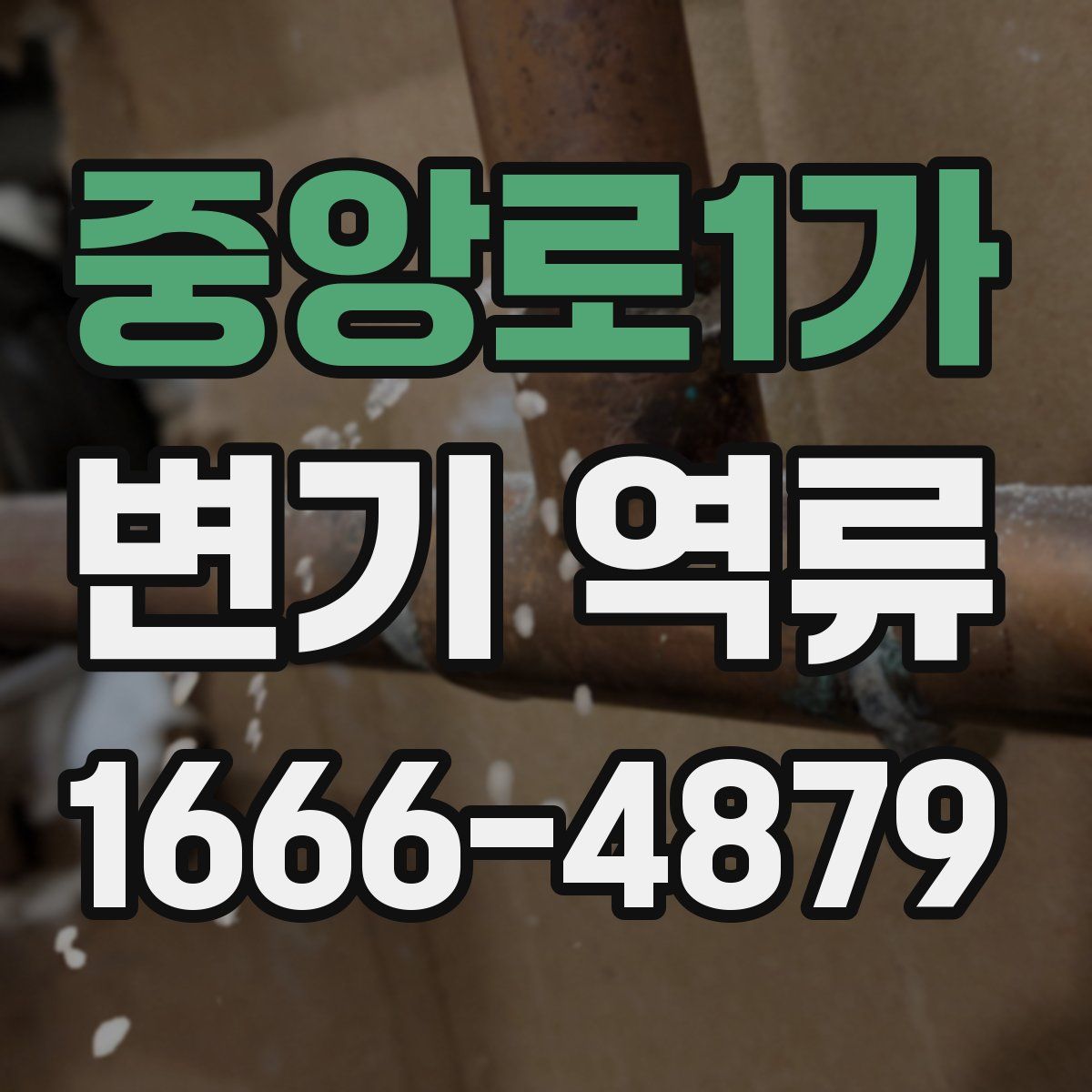 중앙로1가 변기 역류