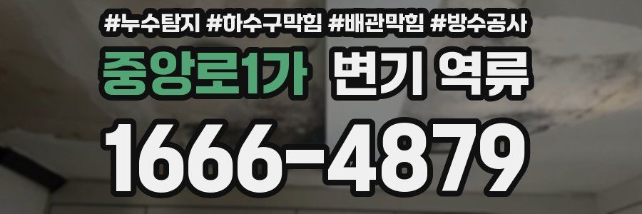 중앙로1가 변기 역류