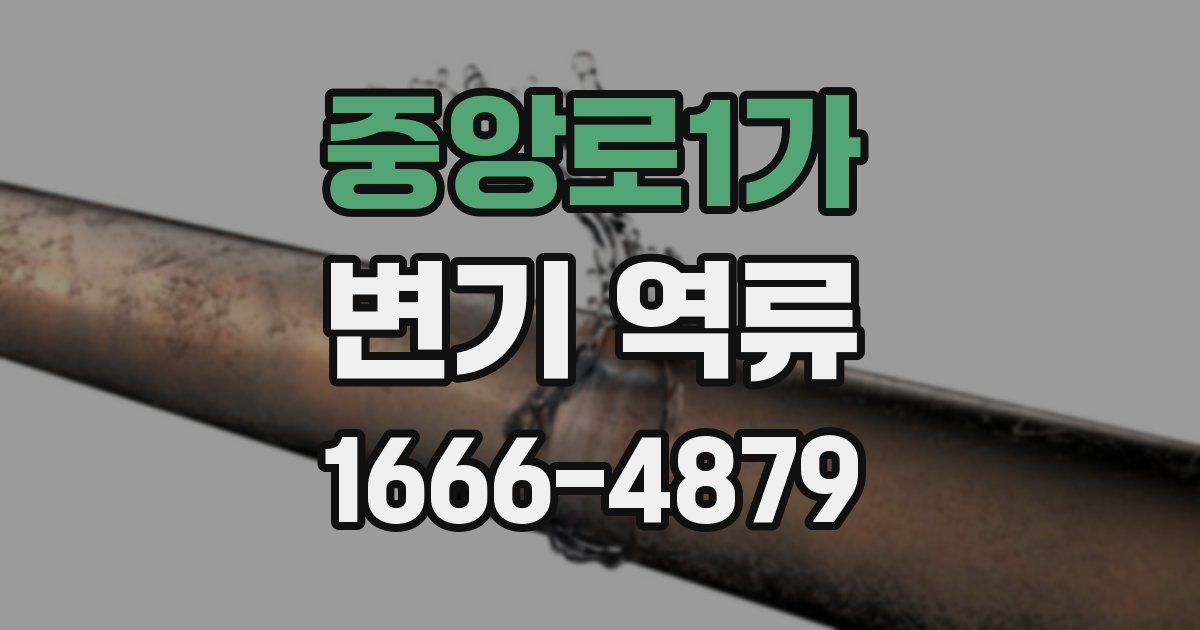 중앙로1가 변기 역류