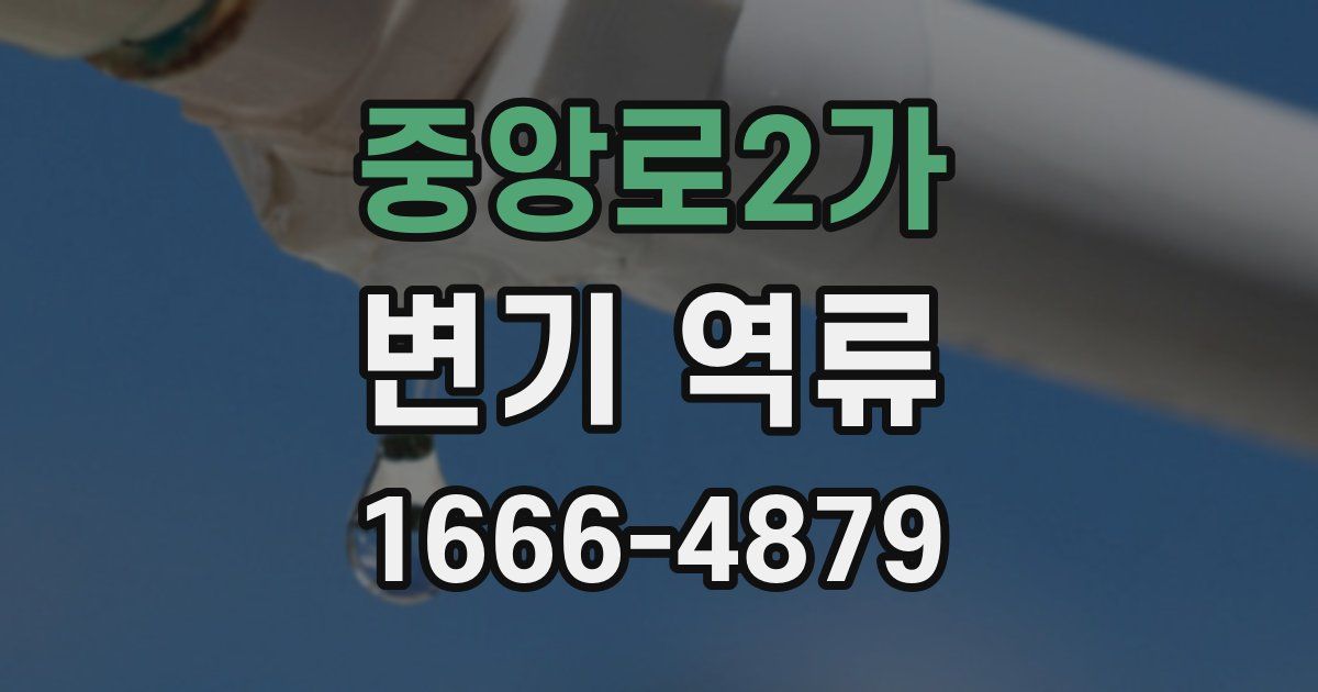 중앙로2가 변기 역류
