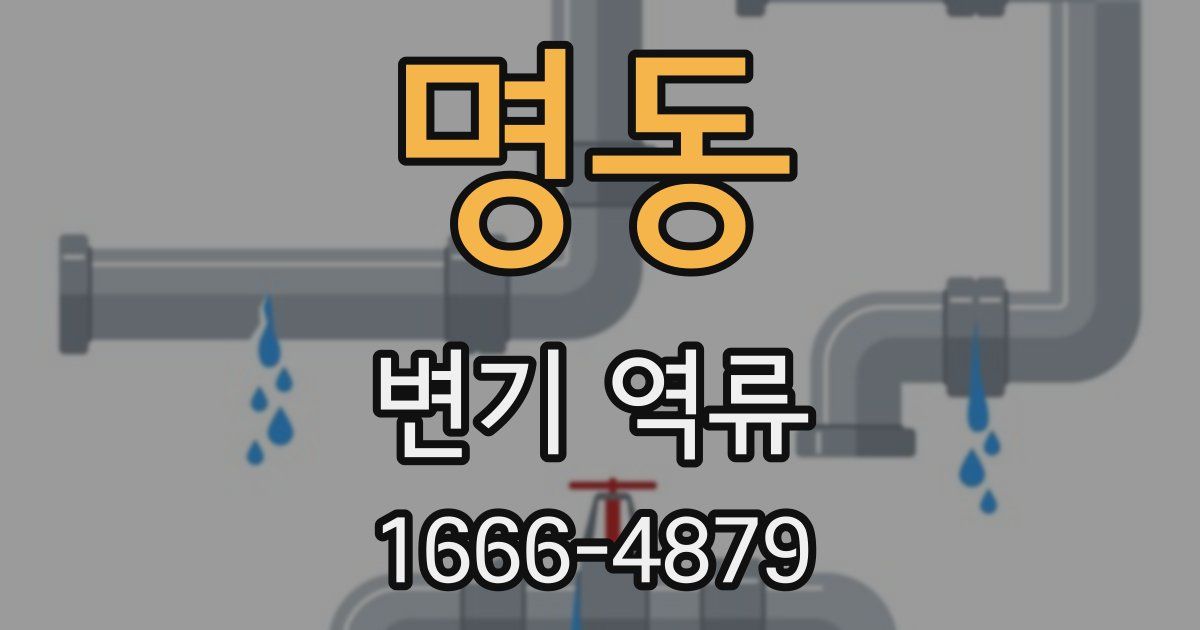 명동 변기 역류
