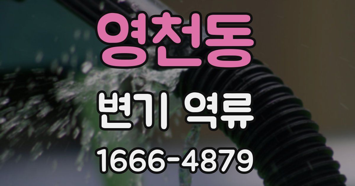 영천동 변기 역류