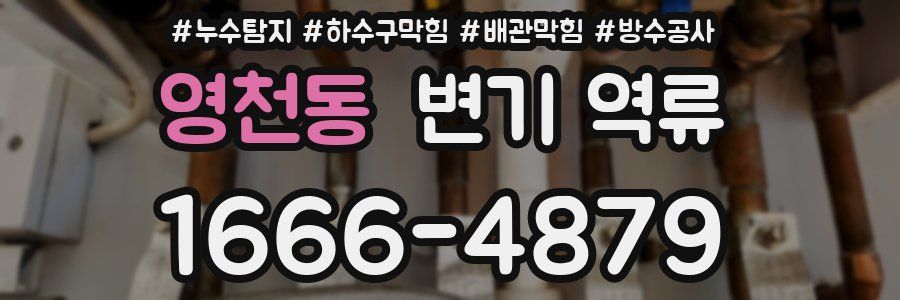 영천동 변기 역류