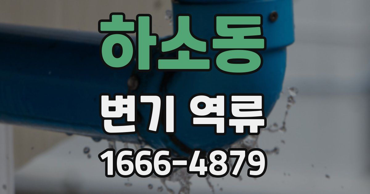 하소동 변기 역류