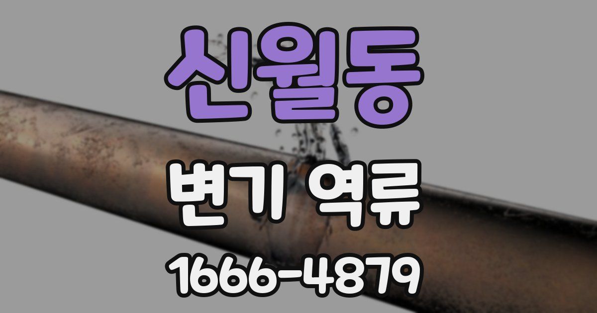 신월동 변기 역류
