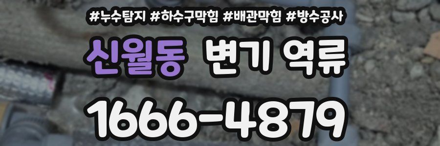 신월동 변기 역류