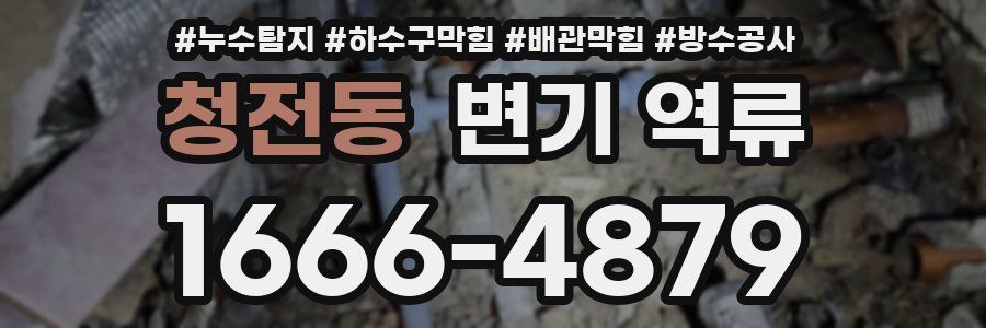 청전동 변기 역류