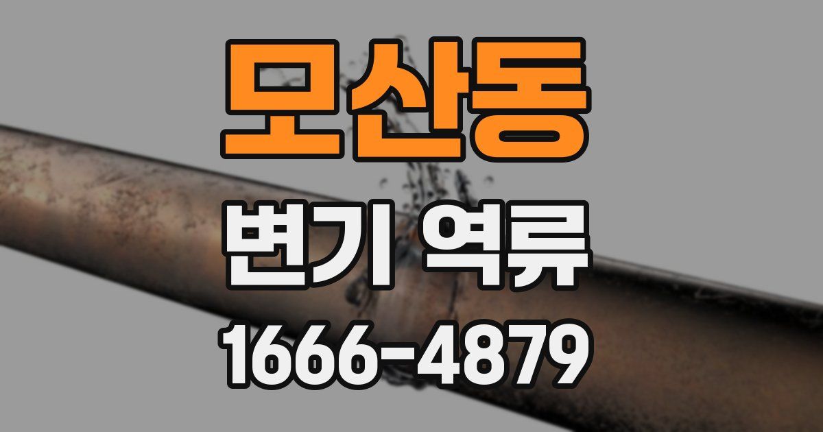 모산동 변기 역류