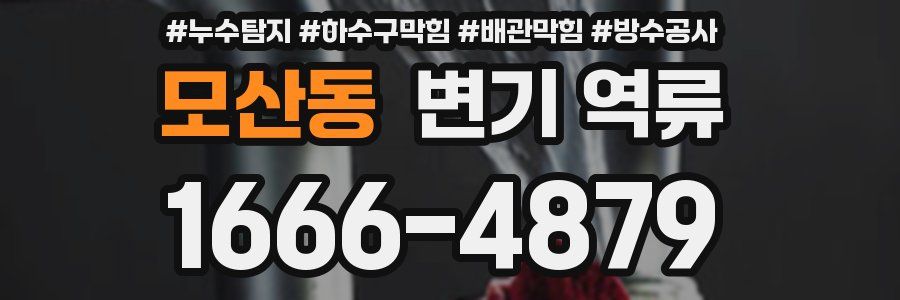 모산동 변기 역류