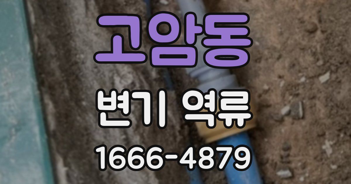 고암동 변기 역류