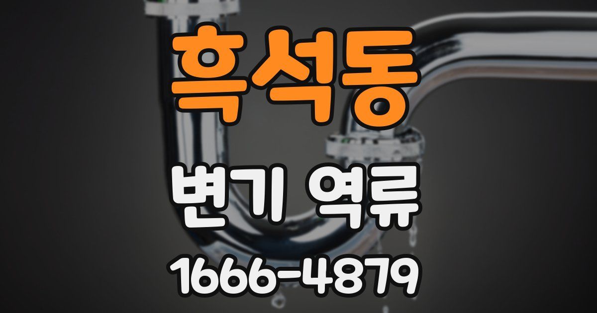 흑석동 변기 역류
