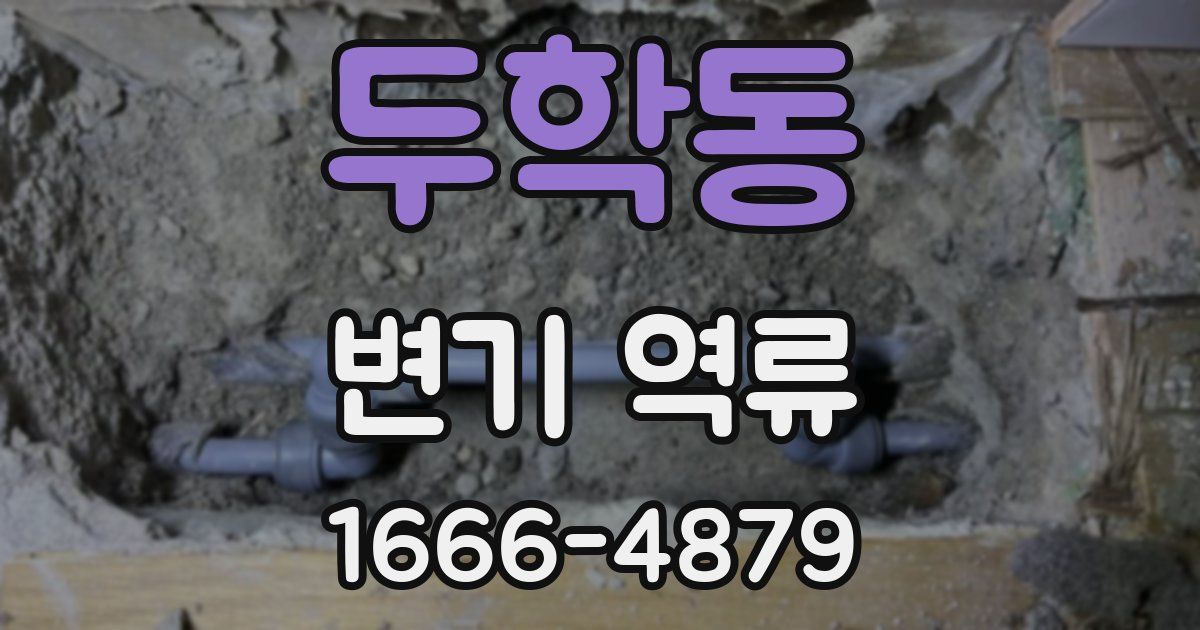 두학동 변기 역류