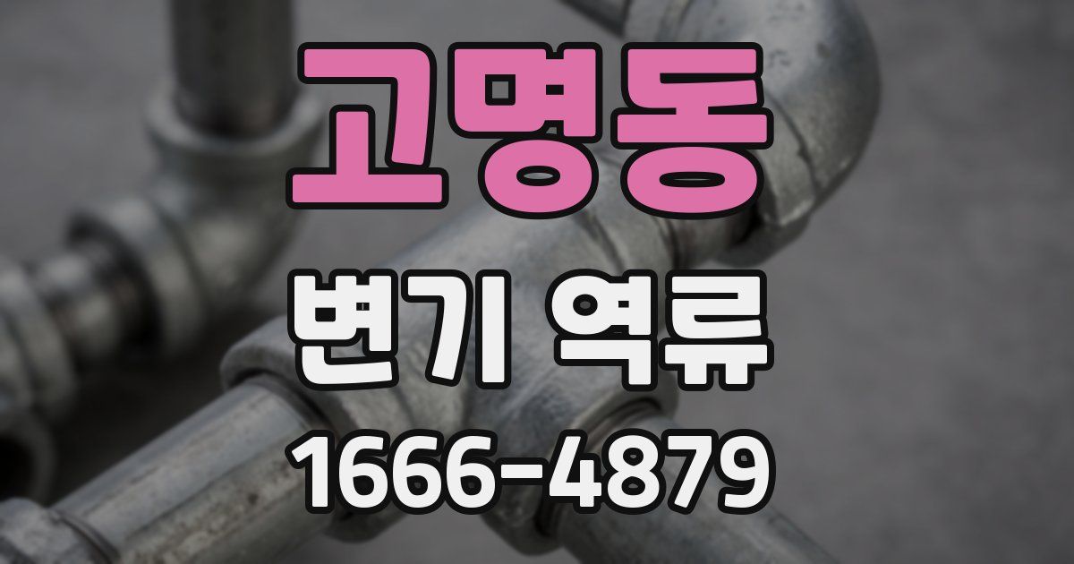 고명동 변기 역류