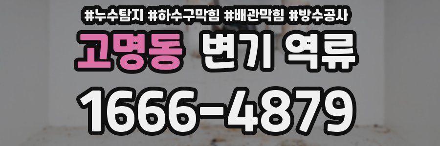 고명동 변기 역류