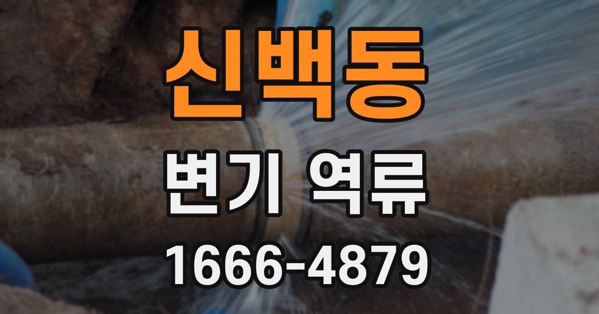 신백동 변기 역류