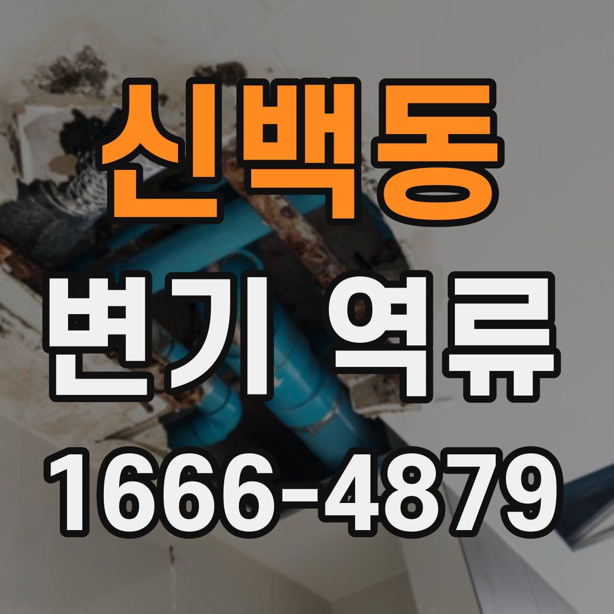 신백동 변기 역류