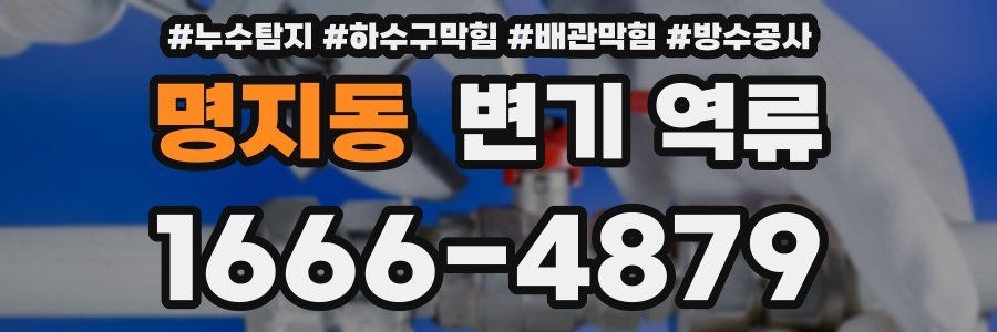 명지동 변기 역류