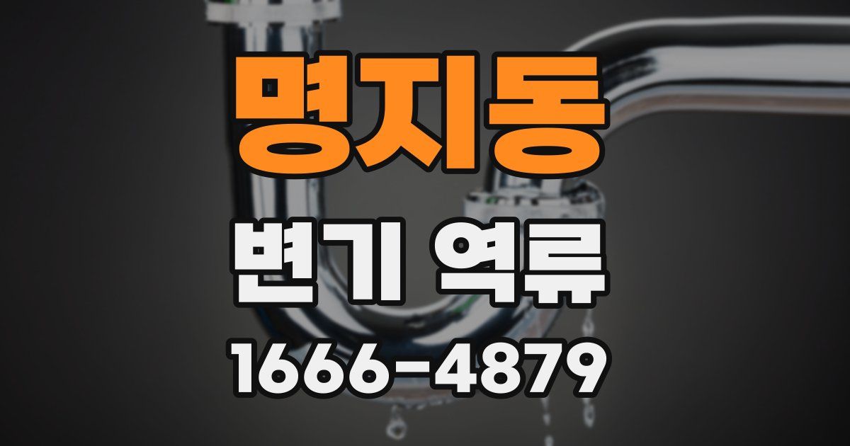 명지동 변기 역류