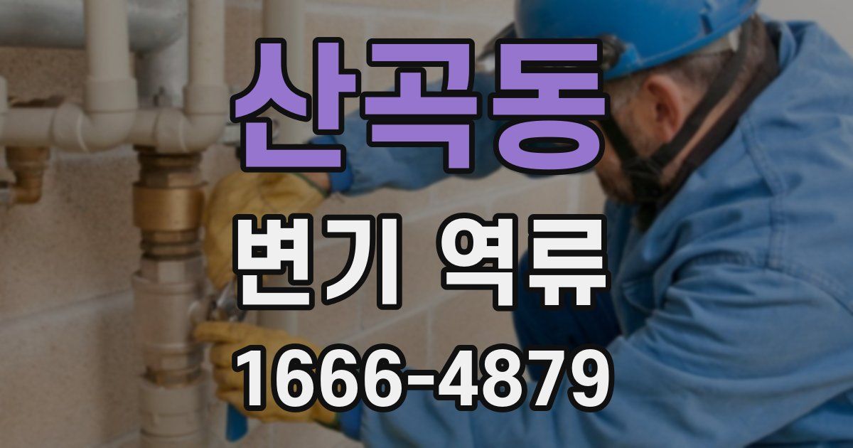 산곡동 변기 역류