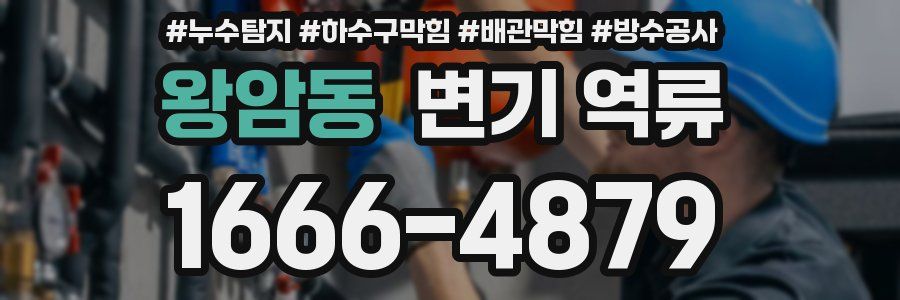 왕암동 변기 역류