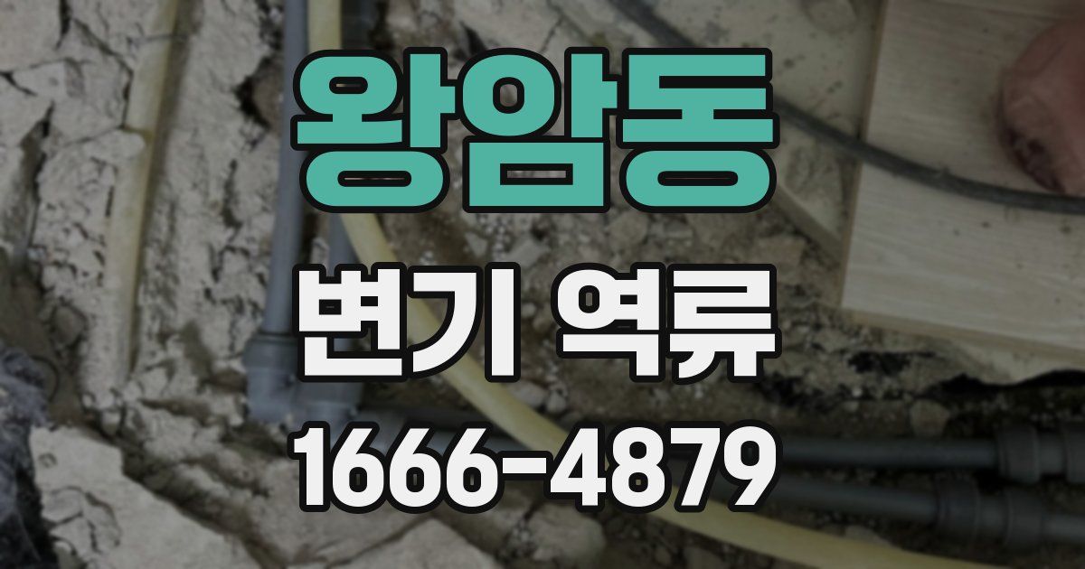 왕암동 변기 역류