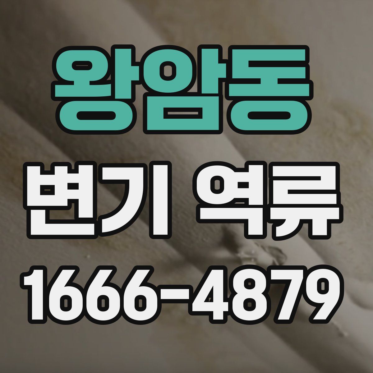 왕암동 변기 역류
